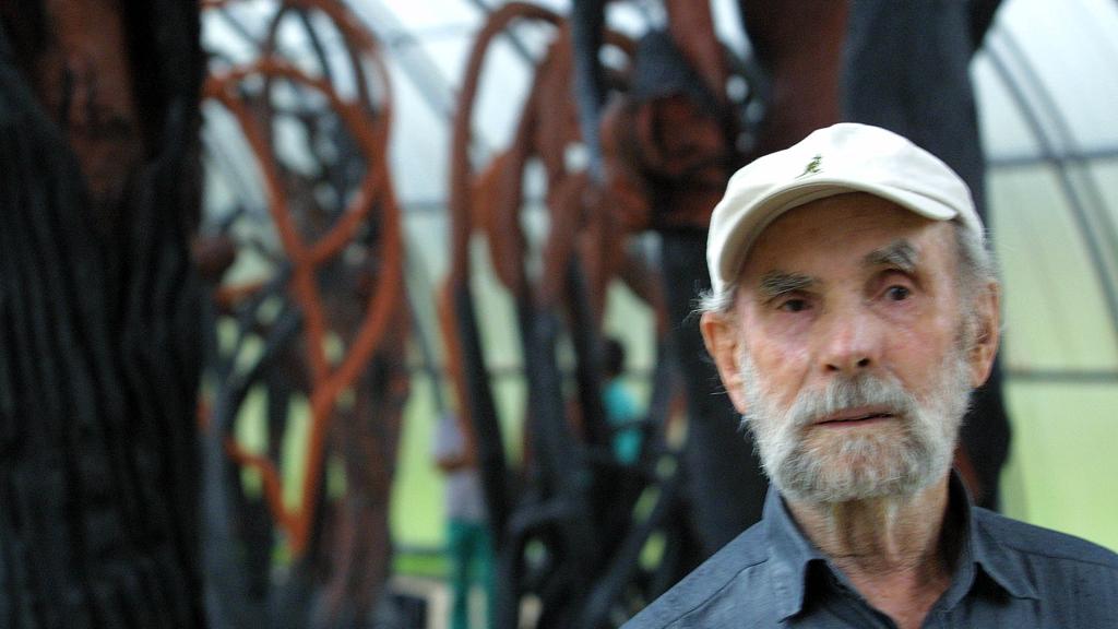 Frans Krajcberg : ecologia será assunto presente na Bienal | MARCELO ELIAS/Arquivo Gazeta do Povo