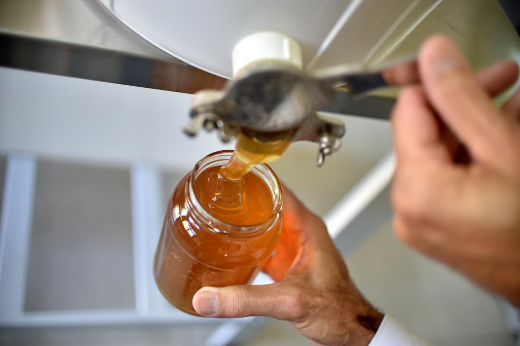 Um dos produtos de origem animal afetados pela medida é o mel | Andre Borges/Agência Brasília