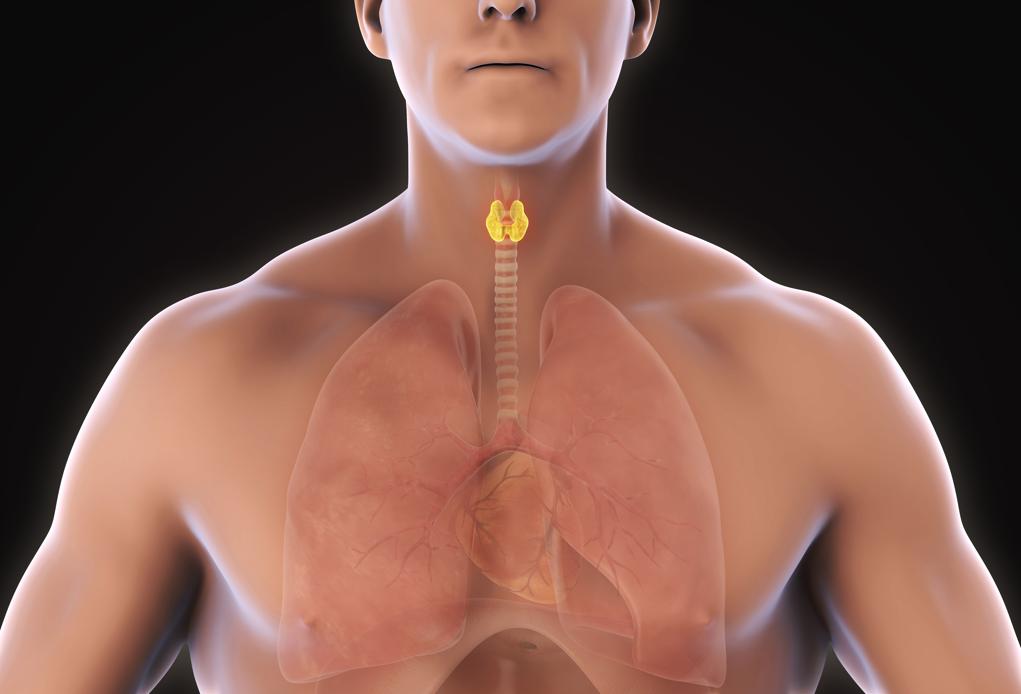 Incidência da doença aumentou quatro vezes nos últimos três anos. | /Bigstock.