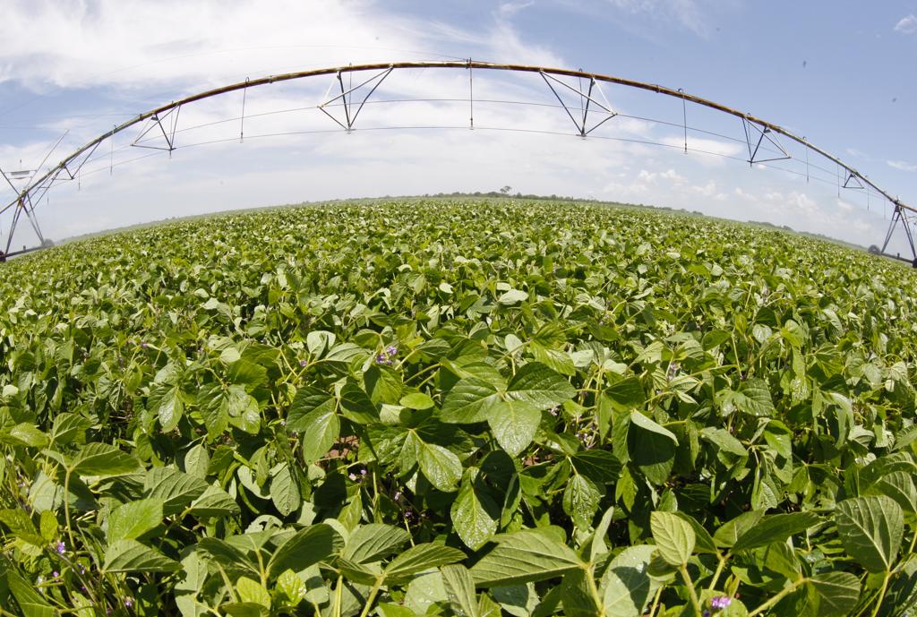 A prioridade número um é atender as regiões do Semiárido brasileiro e do Matopiba | HUGO HARADA/HUGO HARADA