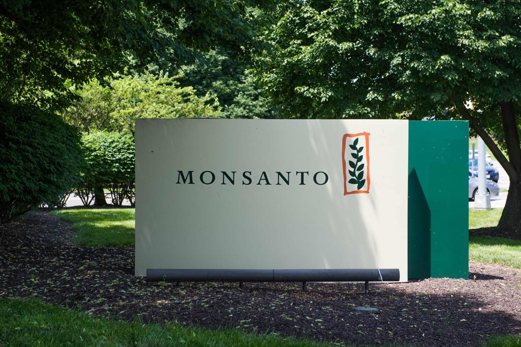 O conselho de administração da Monsanto “considerou por unanimidade que a oferta da Bayer AG é incompleta e financeiramente inapropriada” | MICHAEL B. THOMAS/AFP
