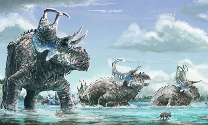  | Ohio University/Divulgação