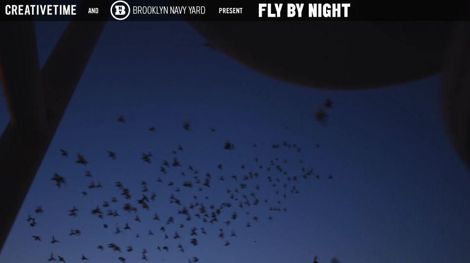 | Creative Me/Reprodução