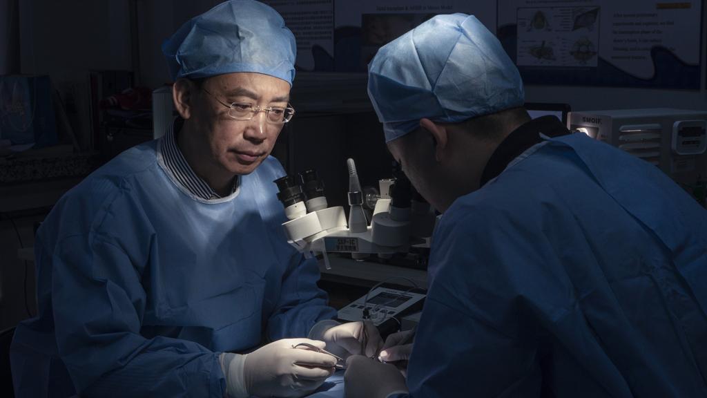 Ren Xiaoping da Universidade de Medicina de Harbin: cirurgião ortopedista  lidera pesquisa para transplante de corpo. | GILLES SABRIE/NYT