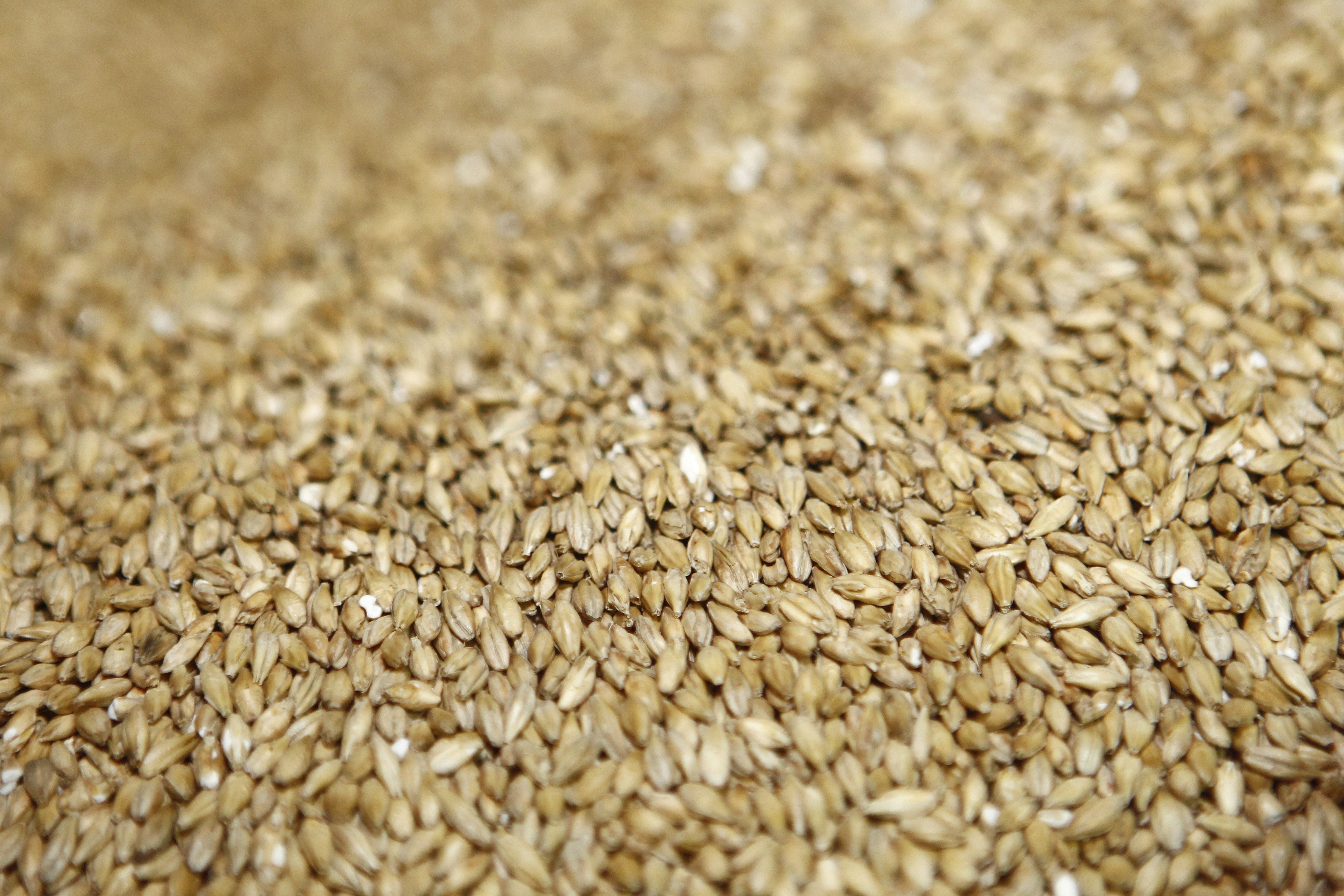  | Antônio More/Gazeta do Povo