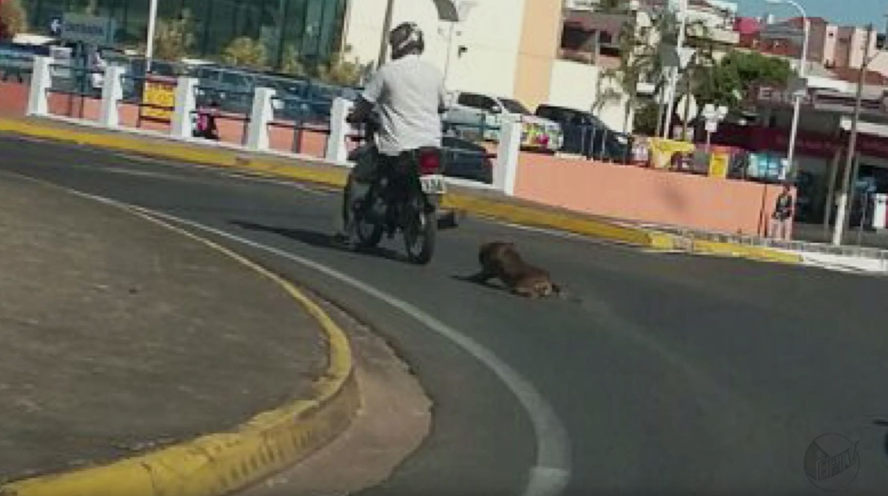 | Reprodução/EP TV