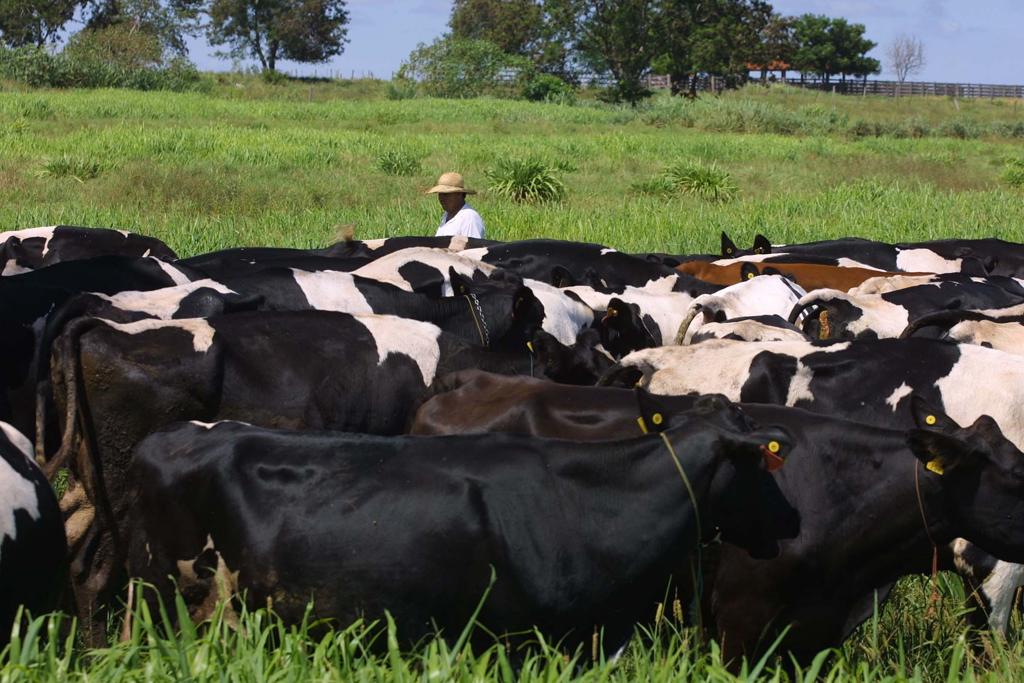 A intenção do BID é que produtores rurais ofereçam suas terras para serem Unidades Demonstrativas (UDs) no Projeto Rural Sustentável | IVONALDO ALEXANDRE/Agência de Notícias Gazeta do Povo