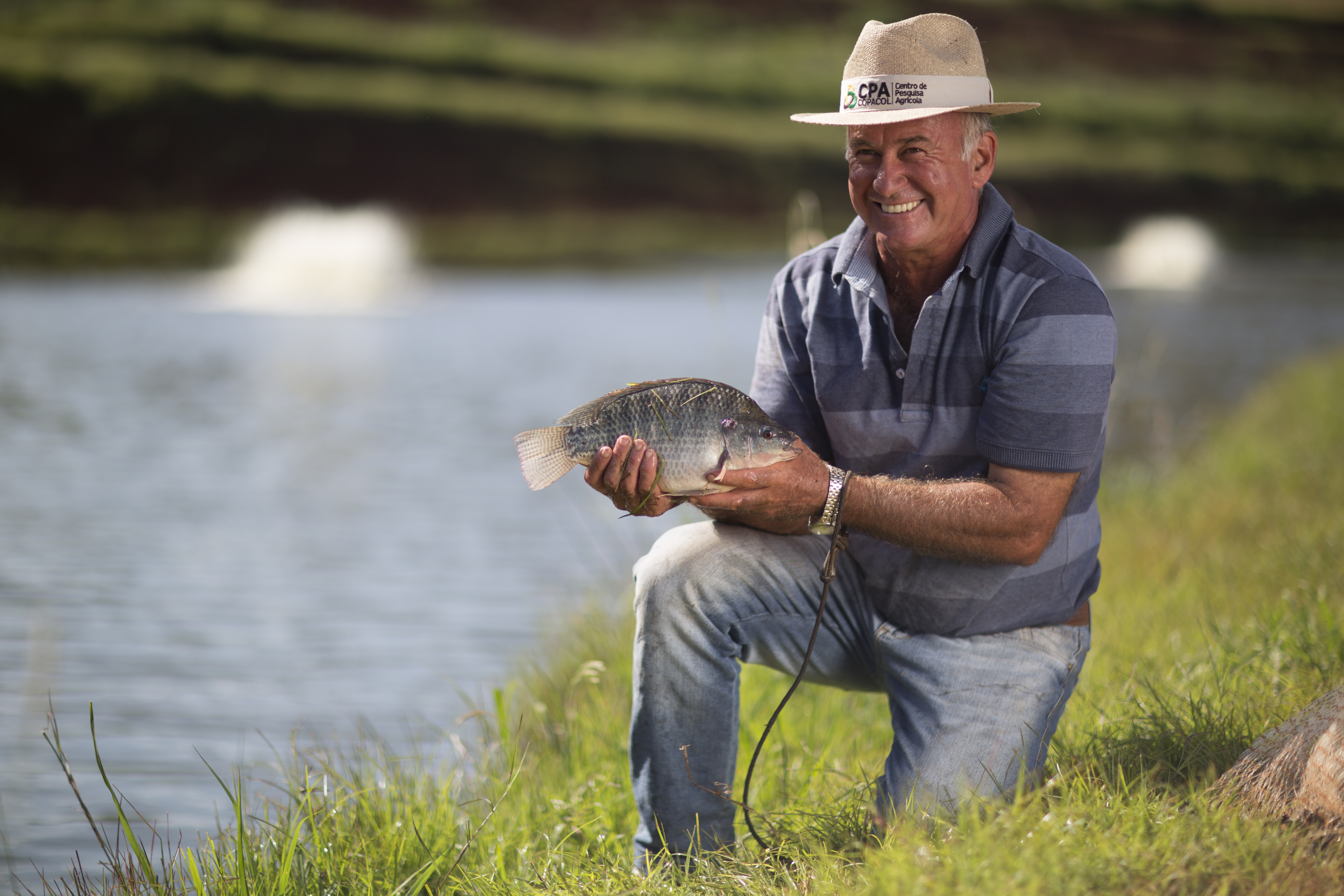 Produção de peixe | Copacol/Divulgação