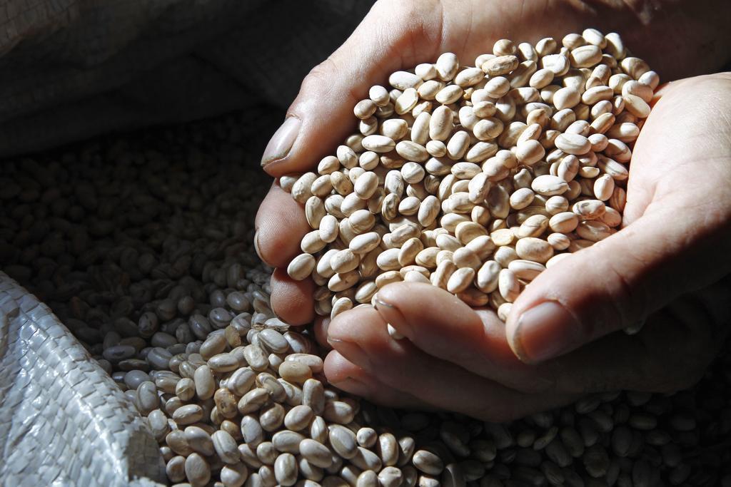 Os estoques oficiais do feijão encontram-se em níveis muito baixos, 108 mil toneladas. | Antônio More/Gazeta do Povo