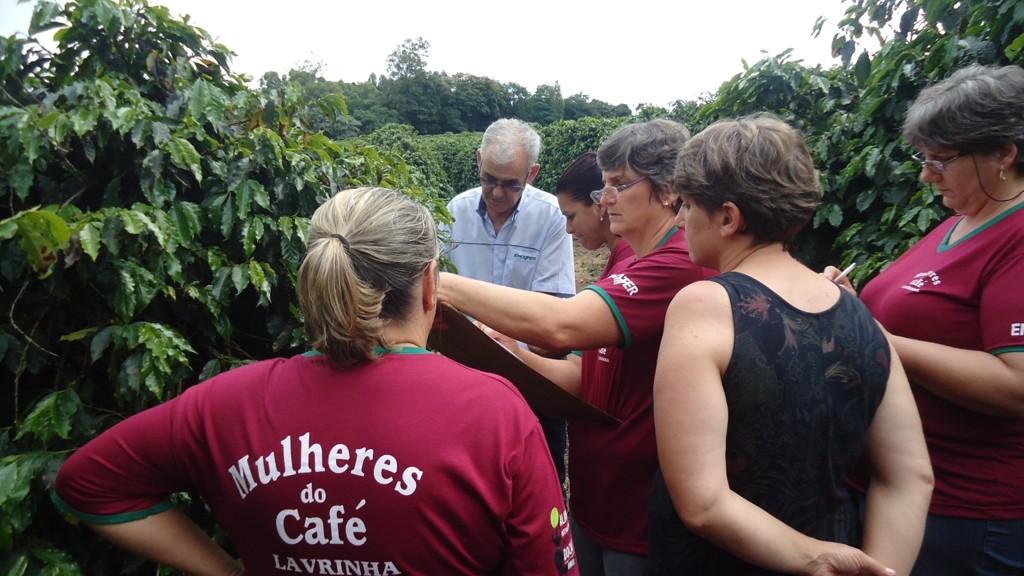 Projeto insere a mulher no sistema produtivo e envolve 180 produtoras