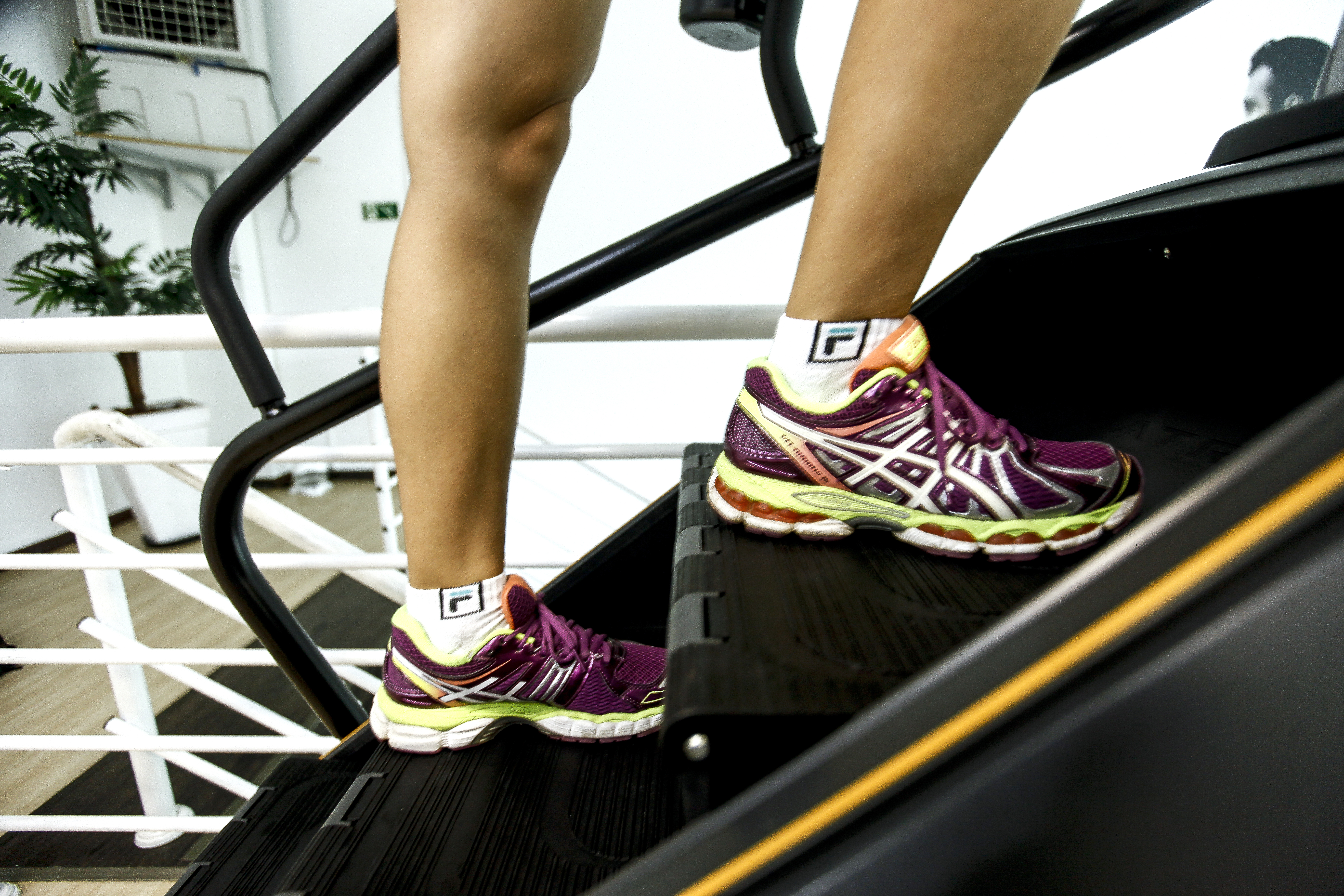  | André Rodrigues/Gazeta do Povo/Arquivo