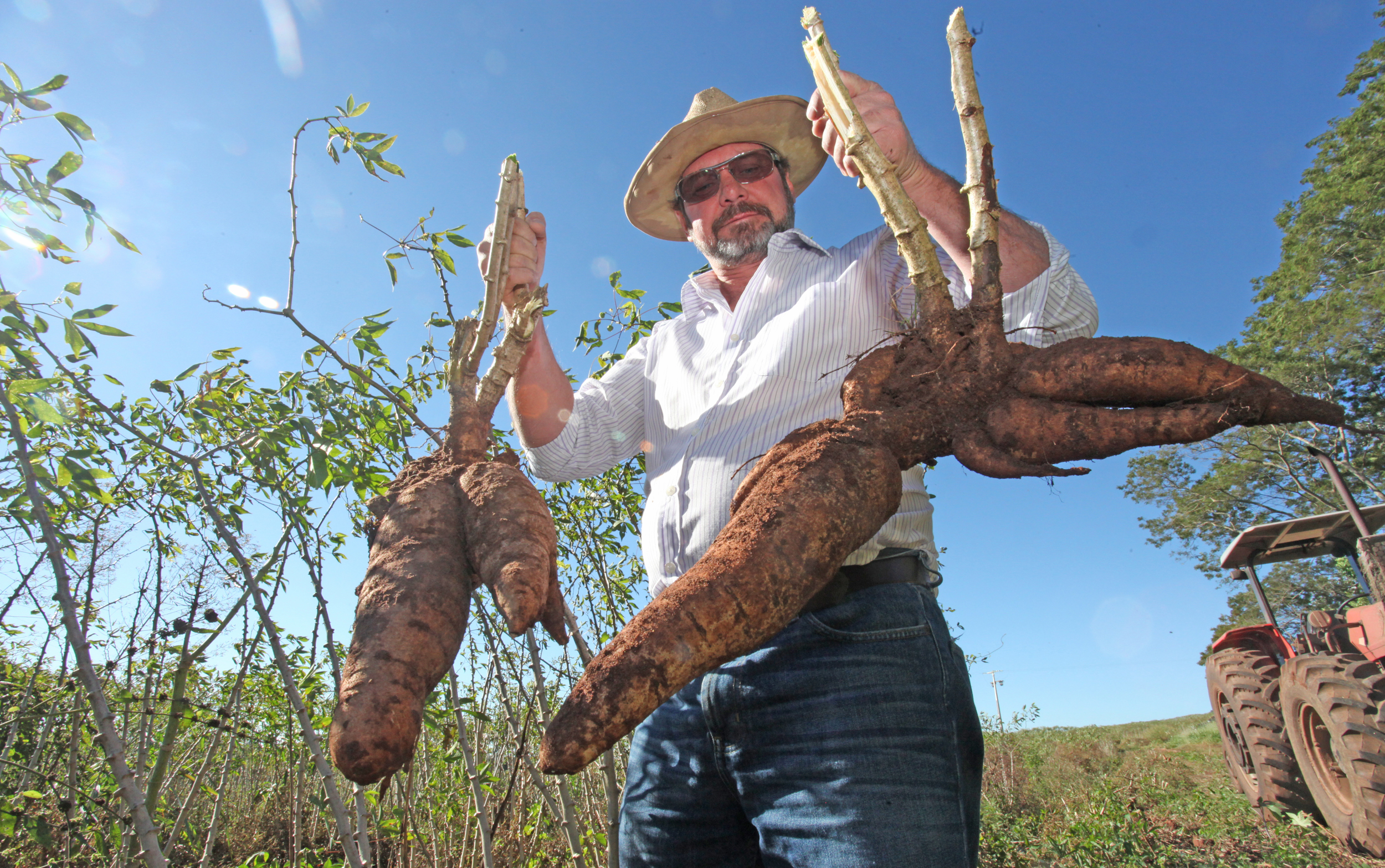 Luiz Lima, de Campo Mourão, vai reduzir 50% sua área de plantio na próxima safra | Dirceu Portugal/Gazeta do Povo