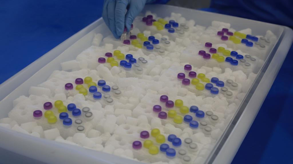 | Ivonaldo Alexandre/Gazeta do Povo