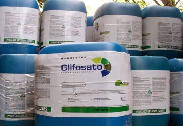 O glifosato está presente nos herbicidas fabricados pelas empresas Monsanto, Syngenta, BASF, Bayer, DuPont e Dow AgroSciences. | /