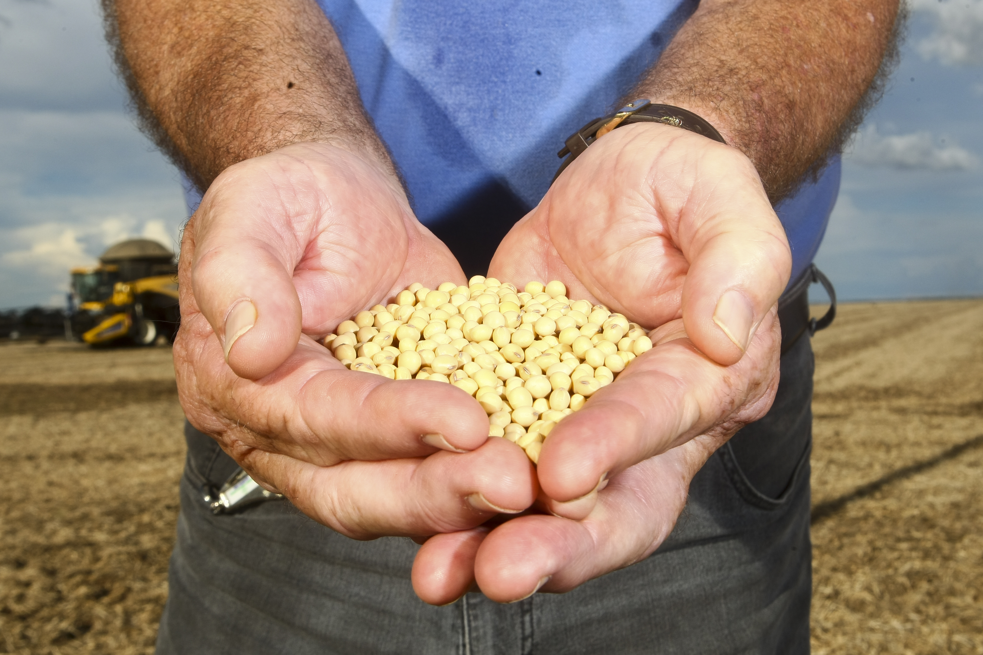 | ANDRE RODRIGUES/ANDRE RODRIGUES