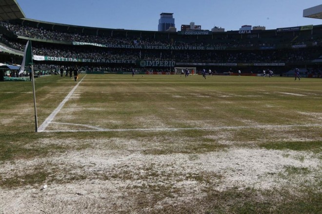 Grama de inverno foi plantada, mas não houve tempo para crescer o suficiente. | Antônio MoreGazeta do Povo