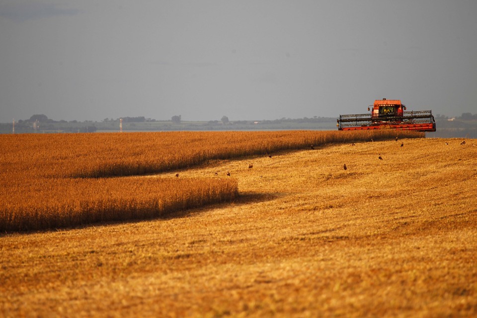 Dentro e fora da porteira, a incorporação de tecnologia e inovação no agronegócio não é mais opção, mas condição ao desenvolvimento. | Jonathan Campos/Gazeta do Povo