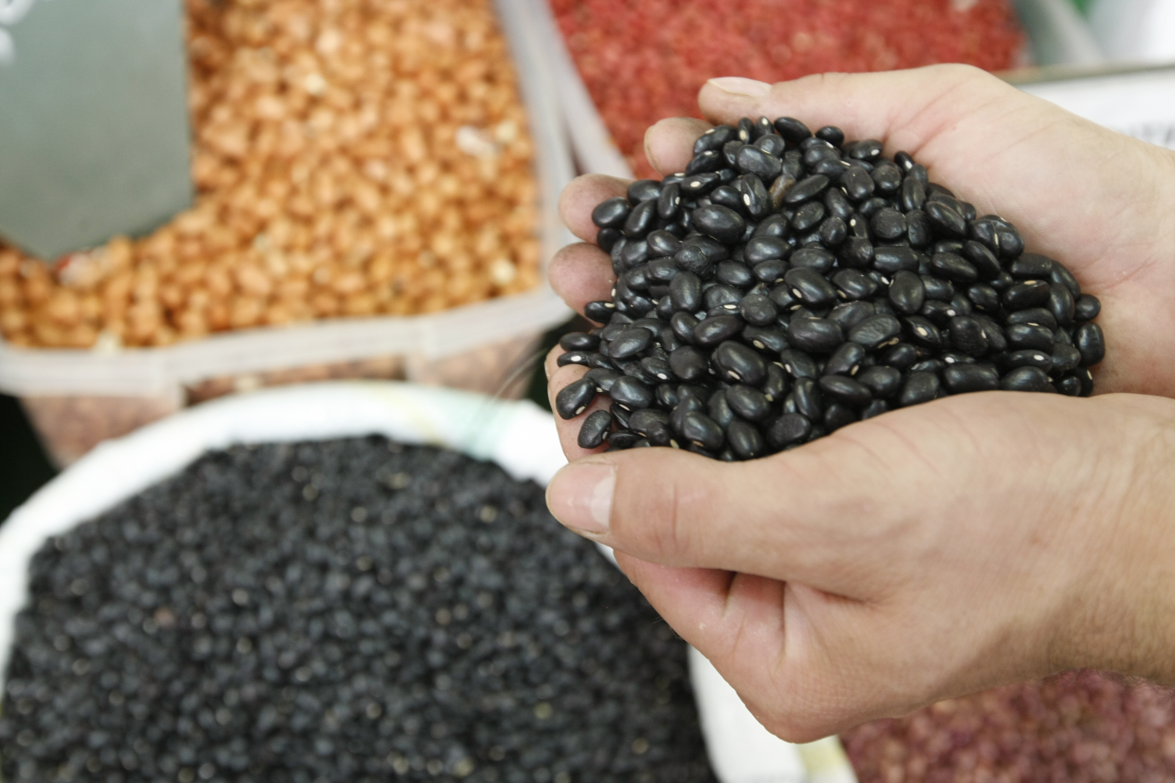 A decisão de zerar o imposto de importação para o feijão foi anunciada pelo presidente em exercício Michel Temer em sua conta no Twitter | Daniel Castellano /
Gazeta do Povo