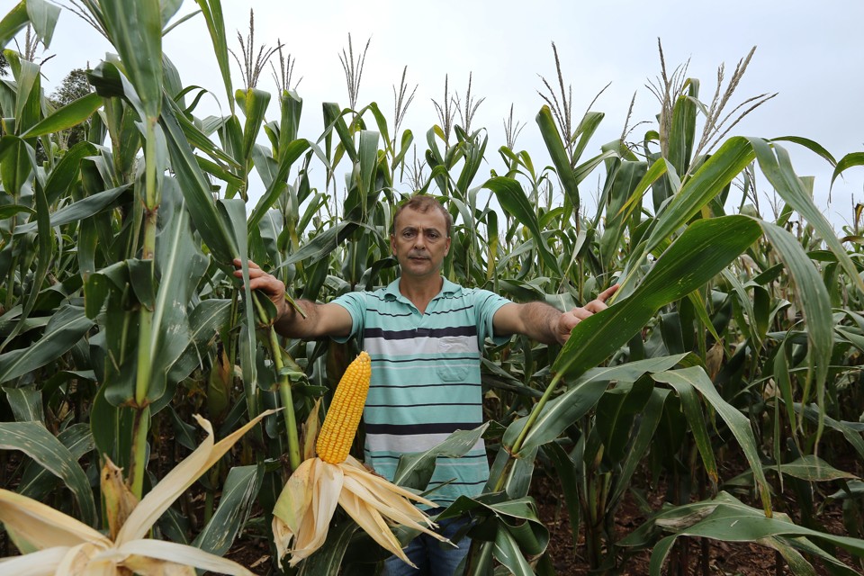 Agricultura de precisão eleva produtividade da soja em até 35% Carlos Pereira Alves, agricultor em Tupãssi, teve aumento de produtividade em 35% com a agricultura de precisão | /