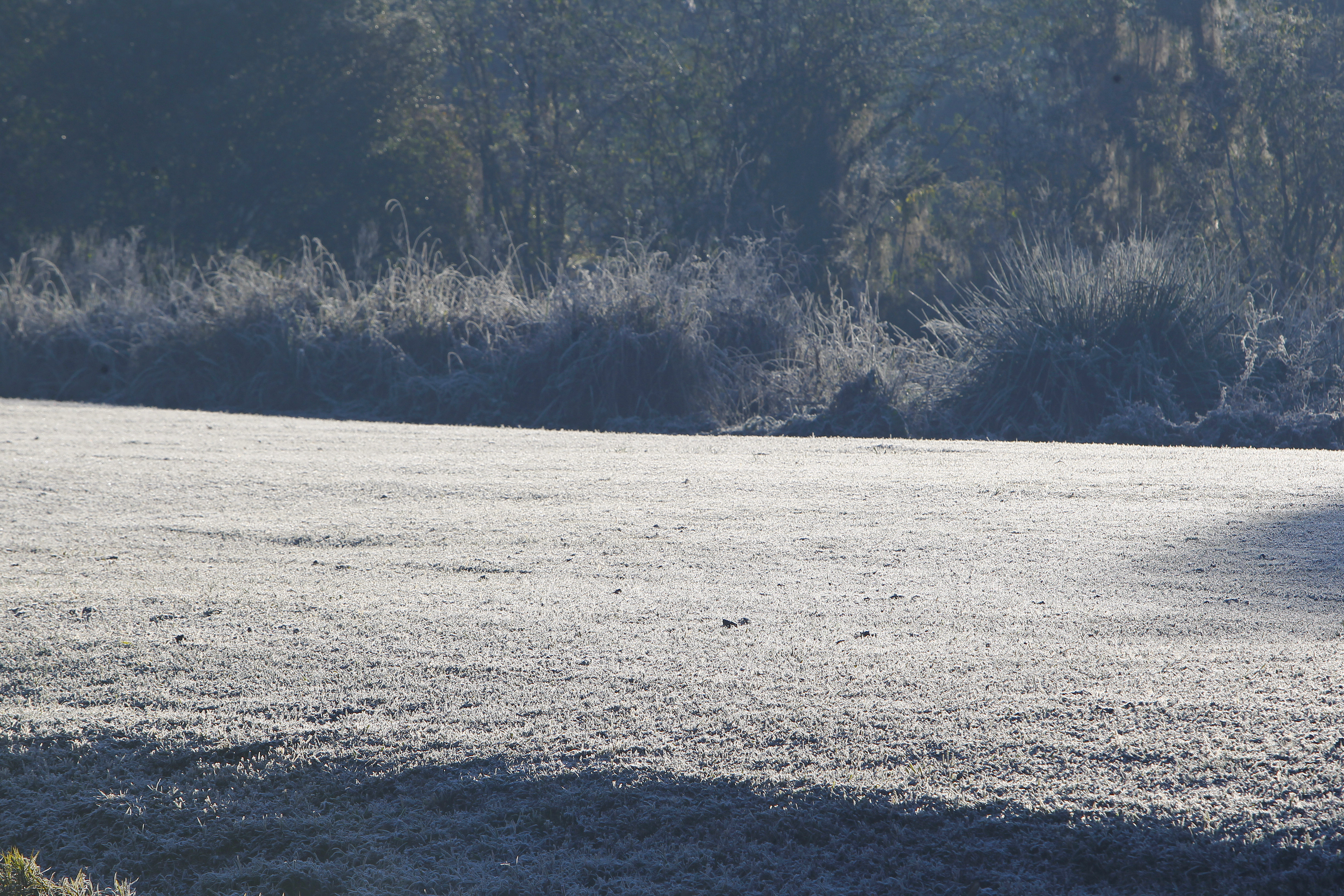  | Antônio More/Gazeta do Povo