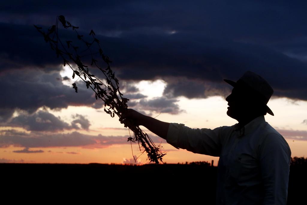 Para agrônomos e veterinários, são 17 vagas e salários que vão até R$ R$ 3.076,30. | Albari Rosa/Gazeta do Povo