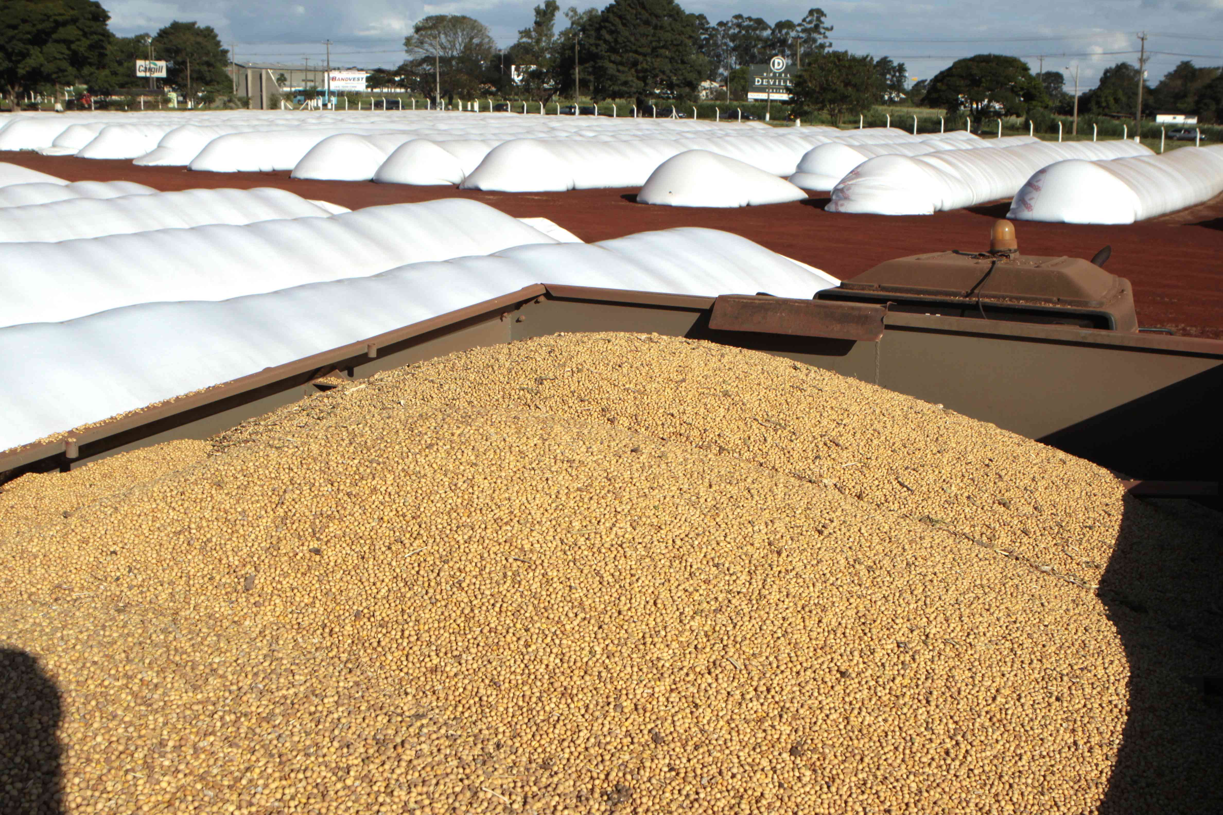 | Ivan Amorin/Ivan Amorin