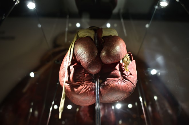 Luva usada por Muhammad Ali na luta contra Henry Cooper, em 1963. O artefato está na exibição “Eu sou o maior”, em Londres. | Ben Stansall/AFP