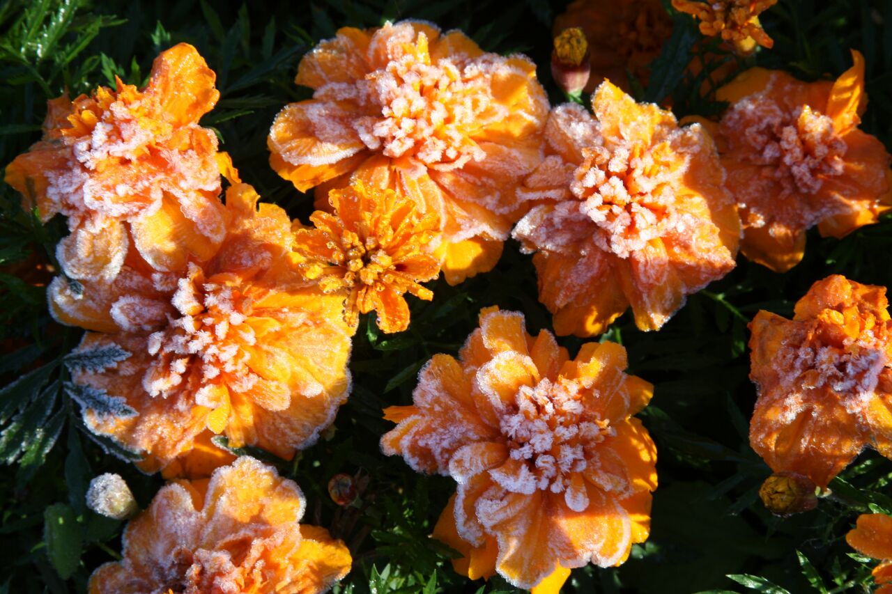 | Aniele Nascimento/Gazeta do Povo