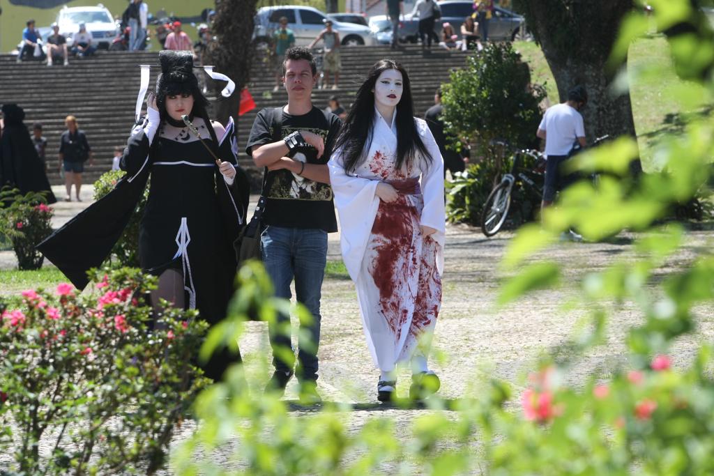 Museu Parananense abre exposição em homenagem ao Japão | Aniele Nascimento/Gazeta do Povo