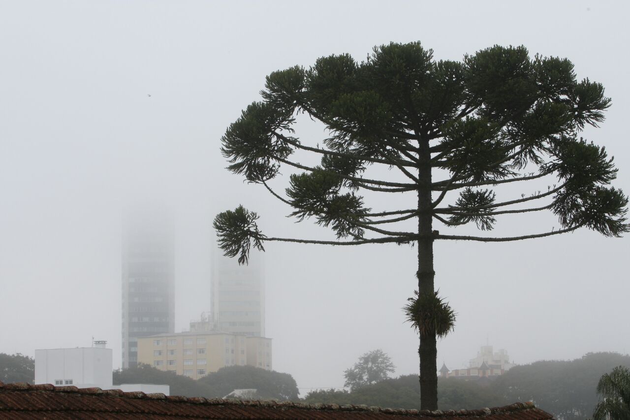 O nevoeiro que atinge a capital paranaense deve durar pouco, com visibilidade reduzida apenas pela manhã, de acordo com o Simepar | Aniele Nascimento/Gazeta do Povo