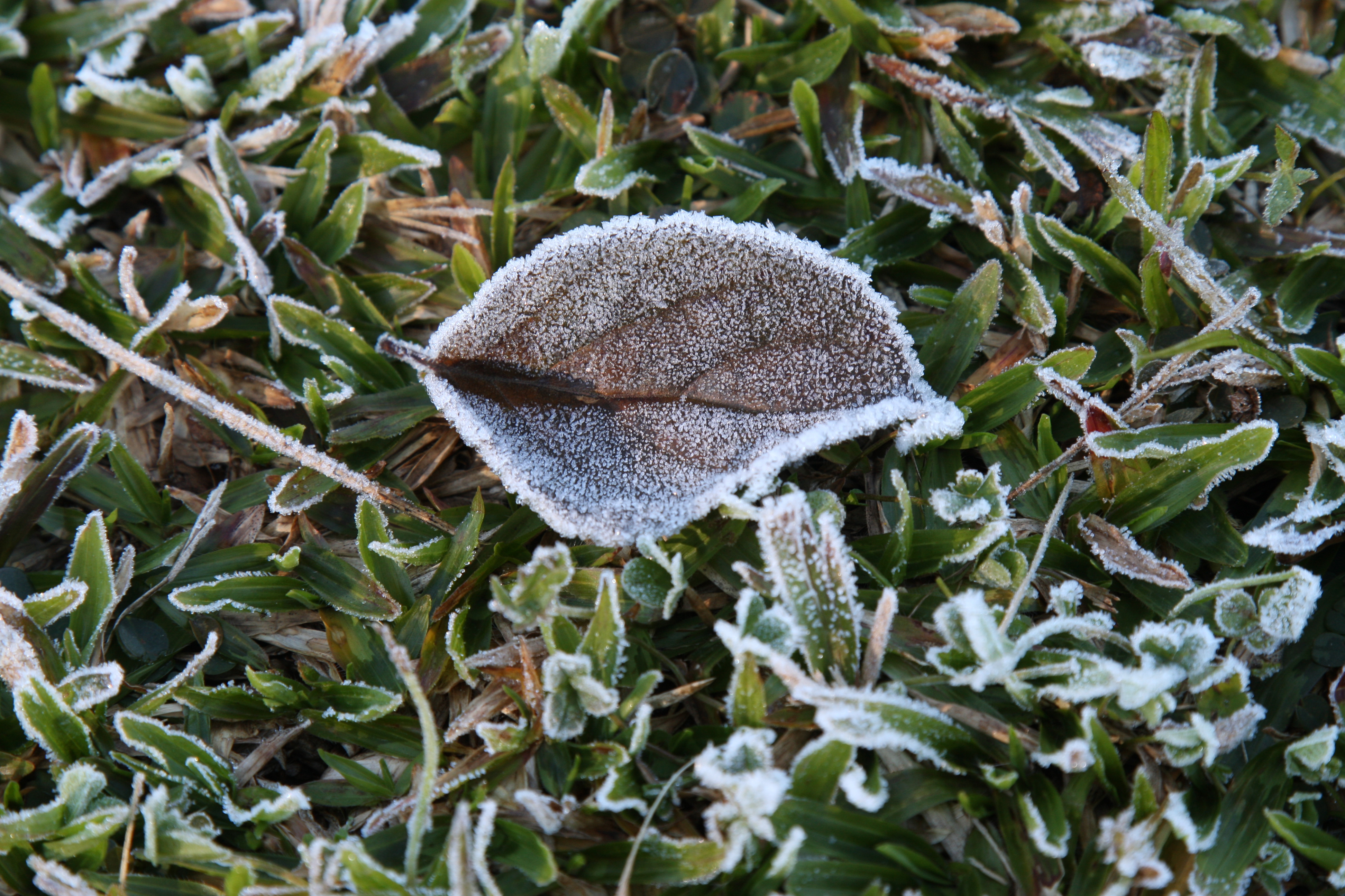 | Aniele Nascimento/Gazeta do Povo