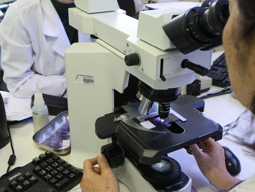 | Daniel Castellano / /Gazeta do Povo