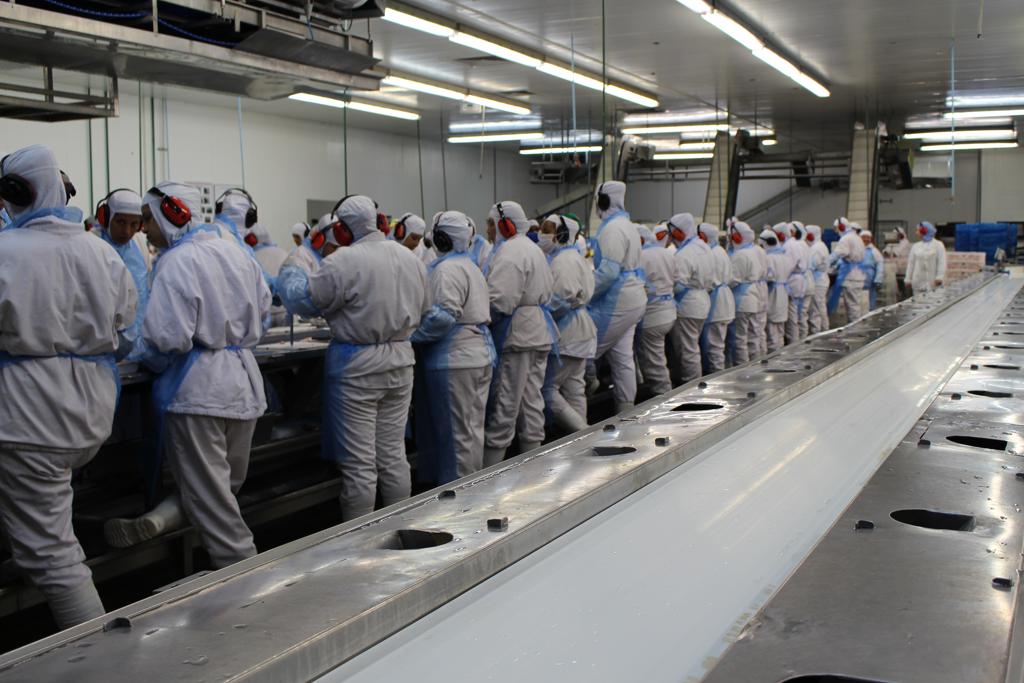 As vendas de carne bovina in natura da empresa no mercado interno recuaram 17,1% | Divulgação/MPT