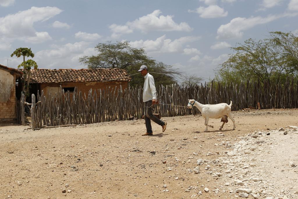 Os novos nomes serão responsáveis pela agricultura familiar e por lidar com movimentos sociais. | Jonathan Campos/Gazeta do Povo