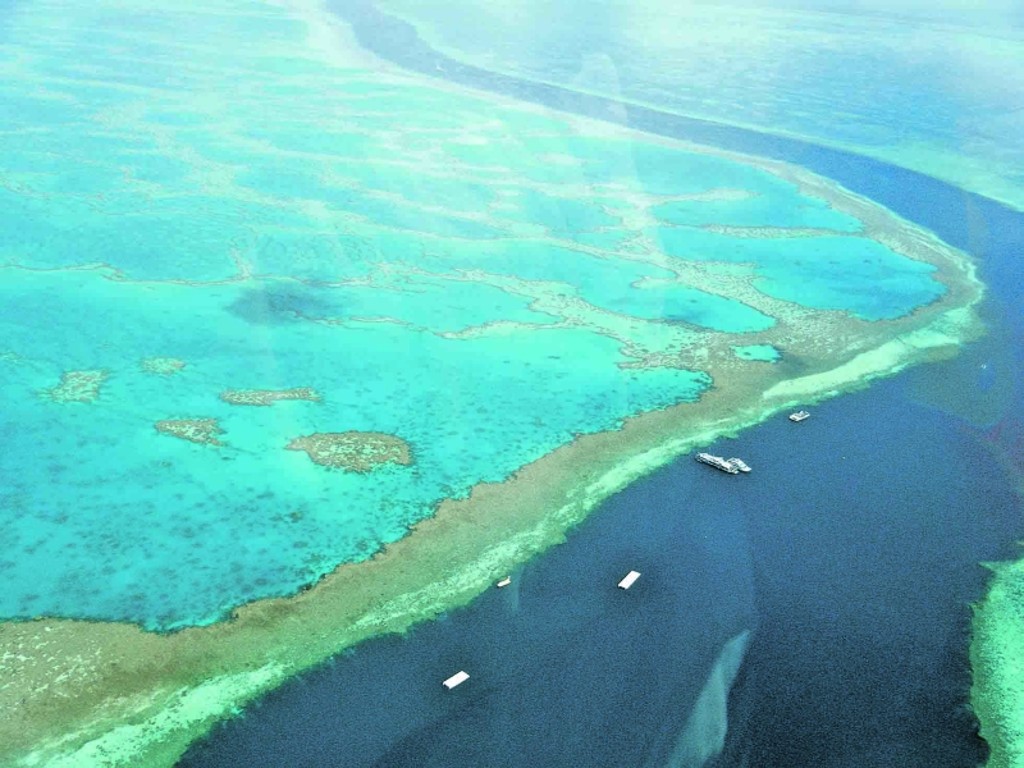 O desaparecimento dos recifes de coral tem tido um grande impacto sobre o ecossistema marinho, porque eles fornecem alimento e abrigo para muitas espécies de peixes e crustáceos. | Arquivo/Gazeta do Povo