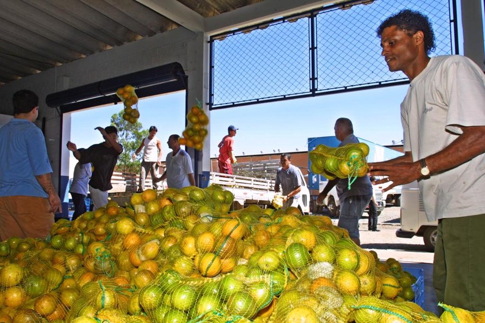 São comercializados em média, por ano, através das Ceasas do Paraná, cerca de 1,2 milhão de toneladas de hortigranjeiros | MARCELO ELIAS/MARCELO ELIAS