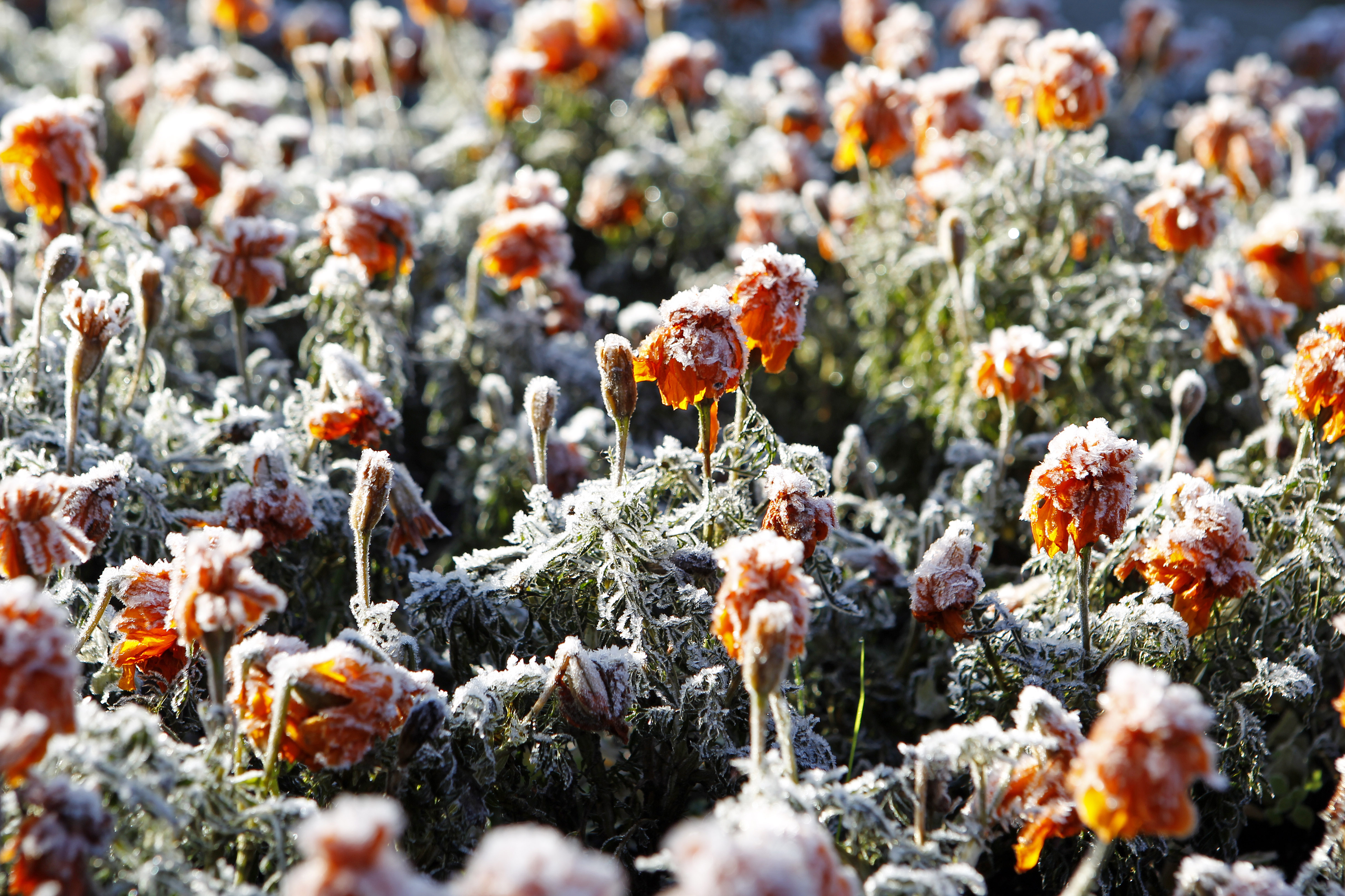  | Antônio More/Gazeta do Povo