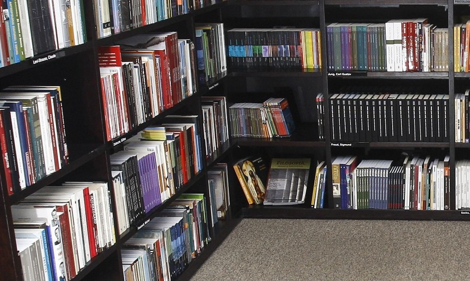 Meni nos que cresceram em residências com mais livros alcançaram mais rápido postos de trabalho melhores | André Rodrigues/Gazeta do Povo