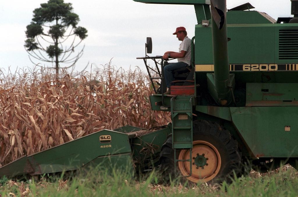 Produção de milho caiu 25,9%, de 4,6 milhões de toneladas para 3,4 milhões de toneladas, e ajudou a puxar PIB agropecuário para baixo