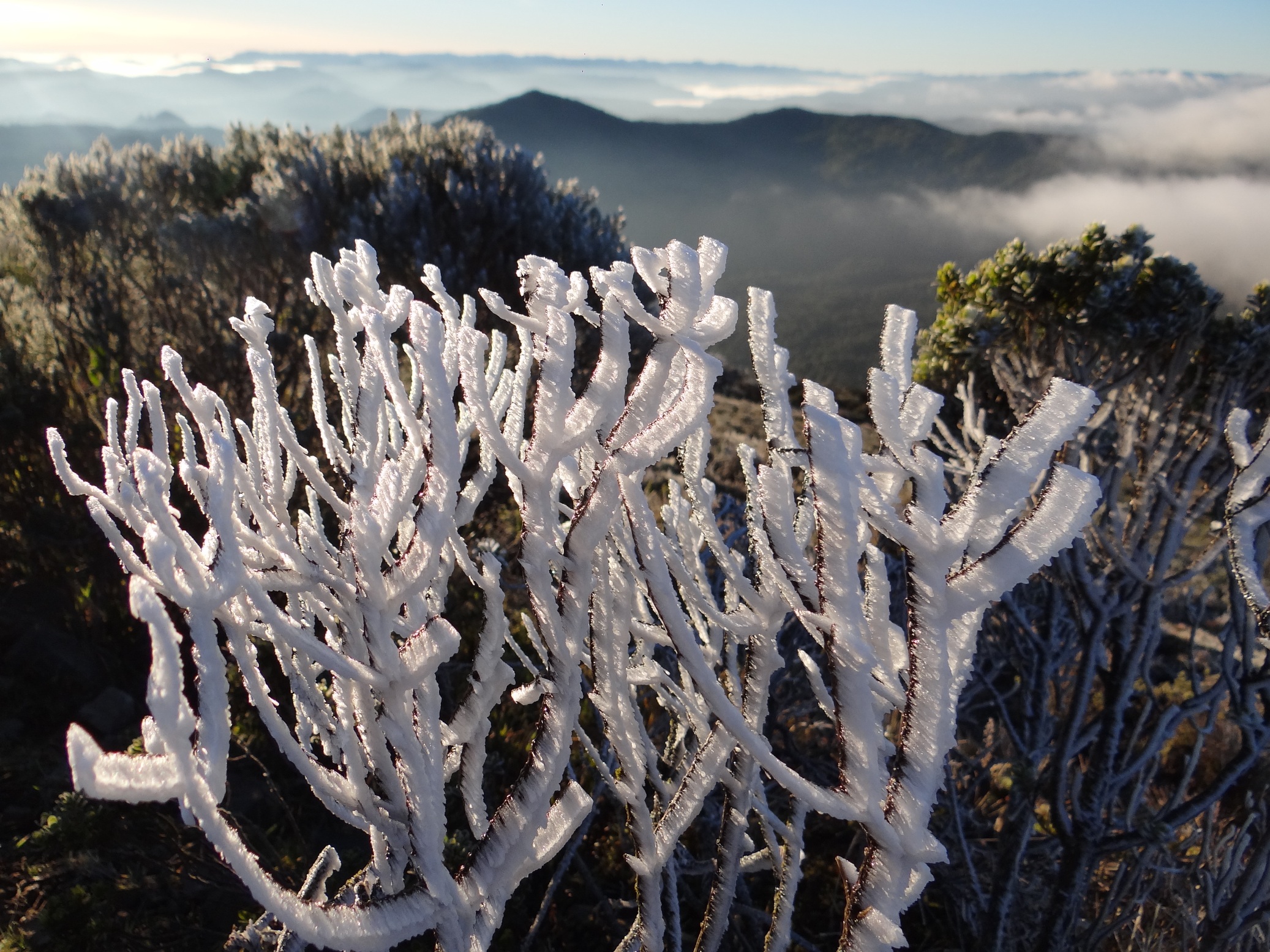 O sincelo novamente se formou no Morro das Torres deixando a paisagem totalmente branca, parecendo neve, em Urupema | Marília Sutil/Prefeitura Urupema