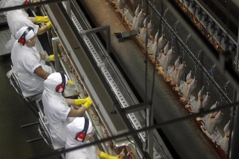 Frigorífico do Paraná vai suspender 1,8 mil contratos de trabalho Apesar de a empresa ter afirmado que não se trata de uma crise financeira, os trabalhadores estão apreensivos. | Jonathan Campos/Gazeta do Povo