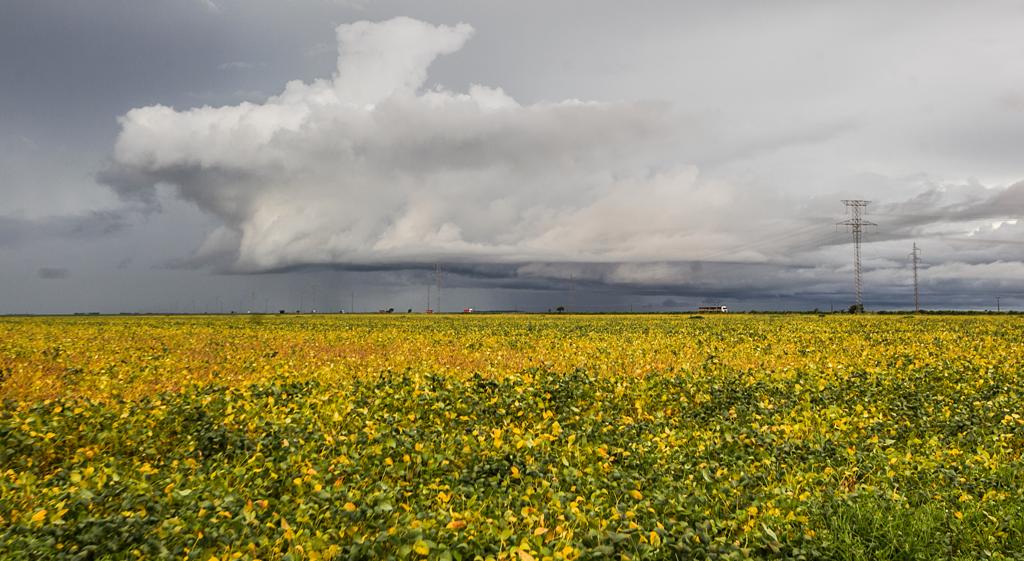 As organizações internacionais consideram vital estabelecer ações a longo prazo para enfrentar os efeitos do El Niño para garantir a segurança alimentar | Daniel Castellano / AGP/Daniel Castellano / AGP