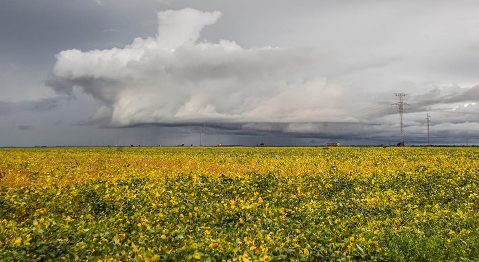 As organizações internacionais consideram vital estabelecer ações a longo prazo para enfrentar os efeitos do El Niño para garantir a segurança alimentar | Daniel Castellano / AGP/Daniel Castellano / AGP