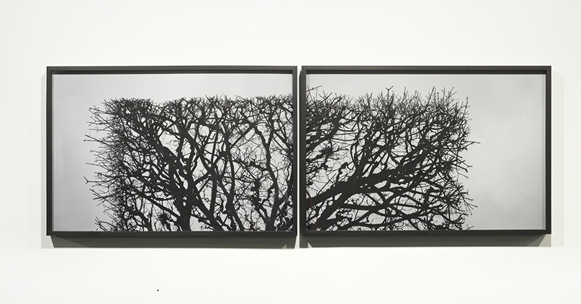 Fotografia feita em Paris no inverno é a expressão de arte mais recente de Daniel Feingold | Pat Kilgore/Photo:Pat Kilgore