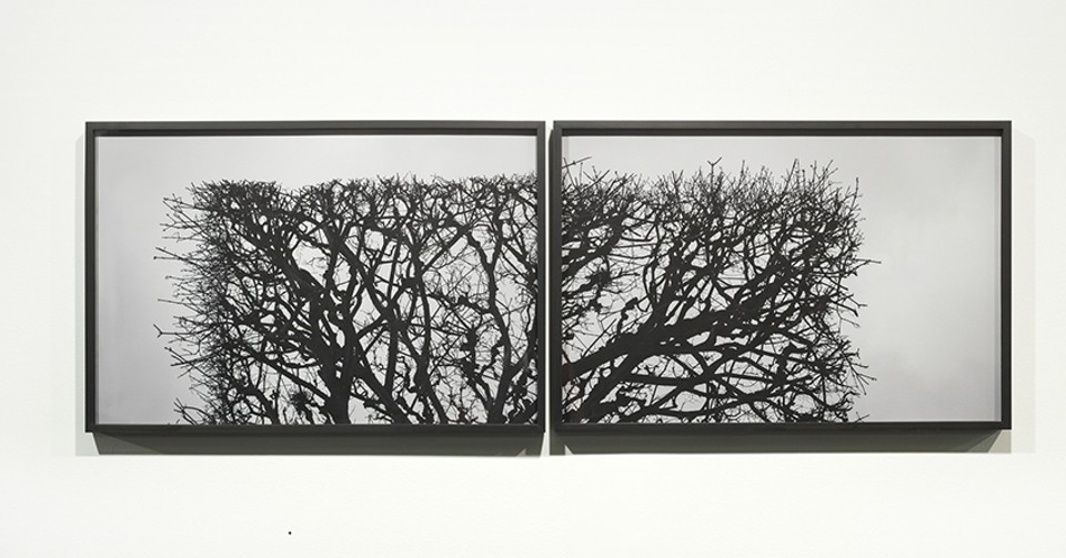 Fotografia feita em Paris no inverno é a expressão de arte mais recente de Daniel Feingold | Pat Kilgore/Photo:Pat Kilgore