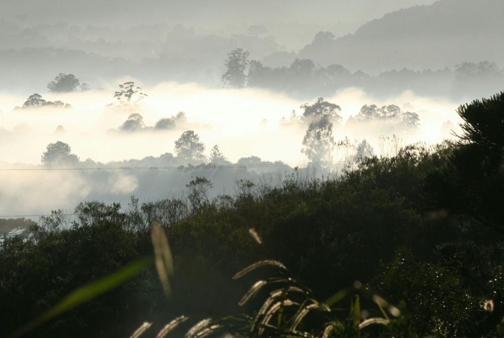 | Aniele Nascimento/Gazeta do Povo