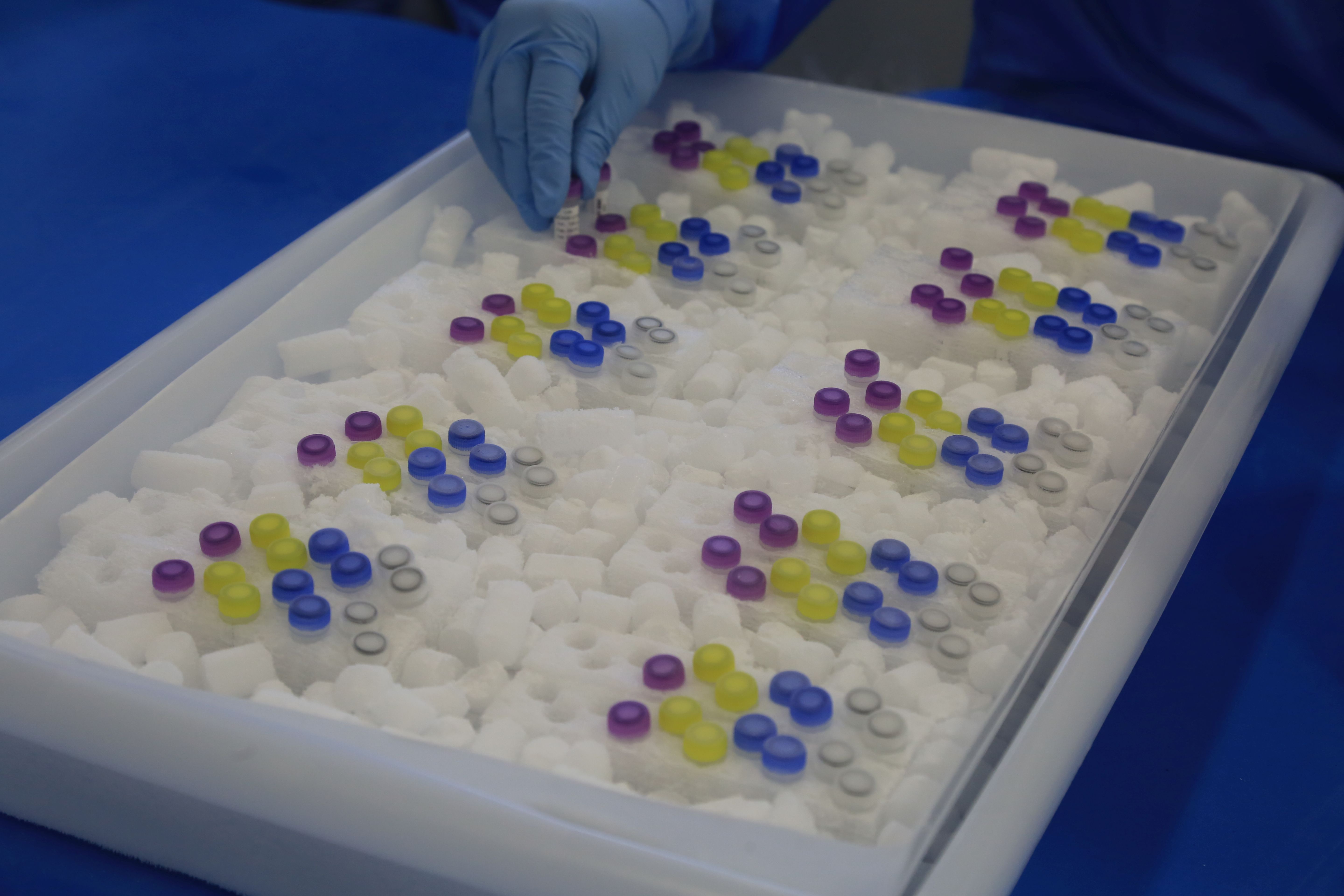 | Ivonaldo Alexandre/Gazeta do Povo