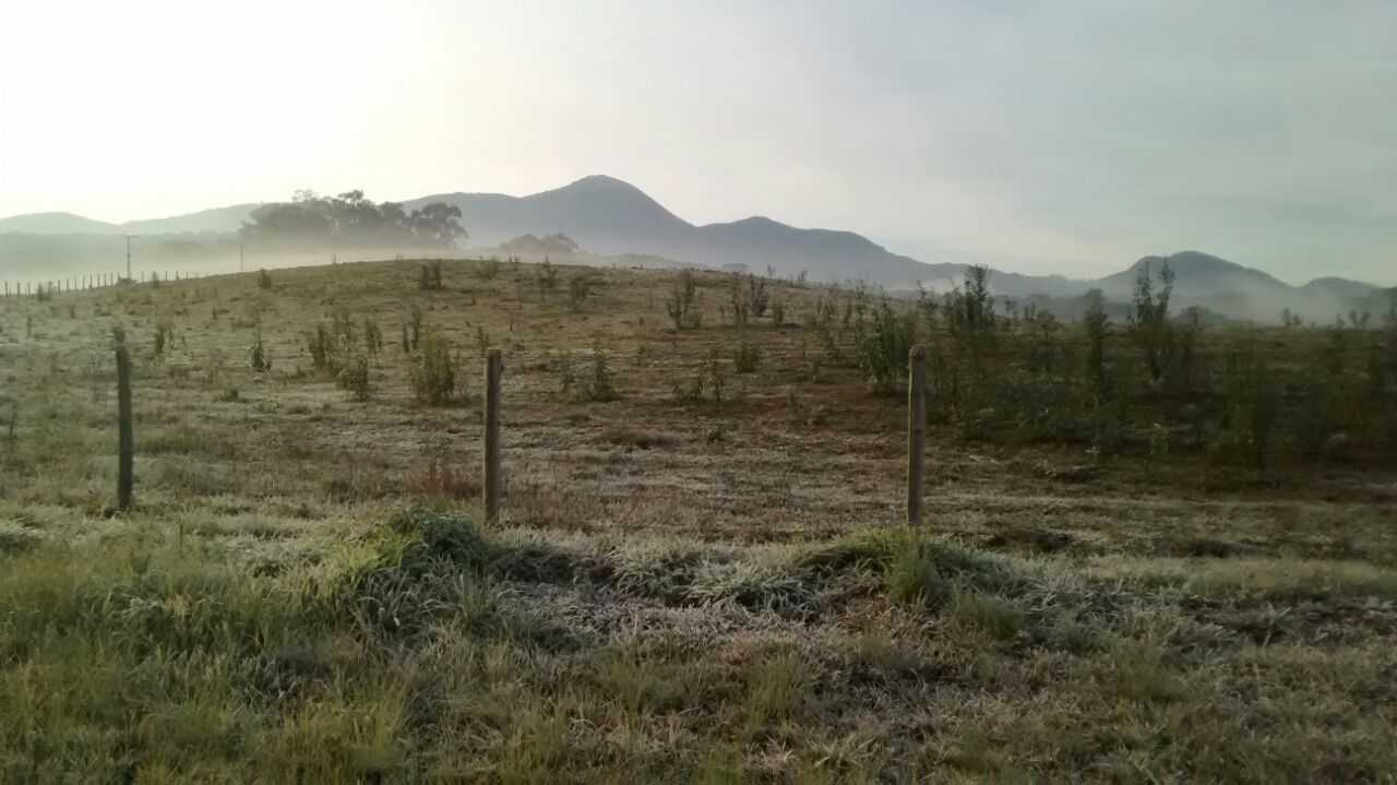 | Lineu Filho/Tribuna do Paraná