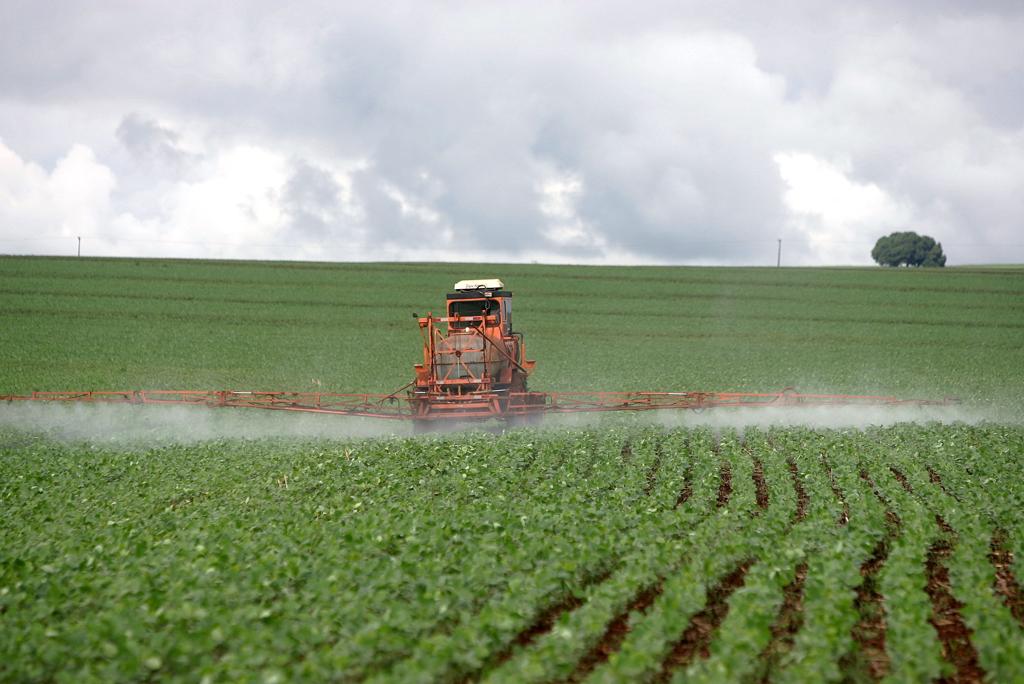 As marcas suspensas não poderão ser receitadas para o controle da ferrugem da soja, porém outras 24 marcas permanecem aptas para recomendação | HEDESON ALVES/HEDESON ALVES