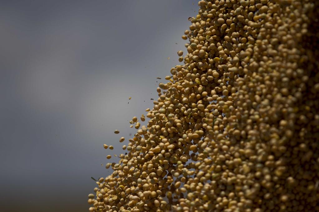 Em maio, as exportações de soja responderam por 51,1% de tudo o que o agronegócio vendeu ao exterior. | JONATHAN CAMPOS/GAZETA DO POVO